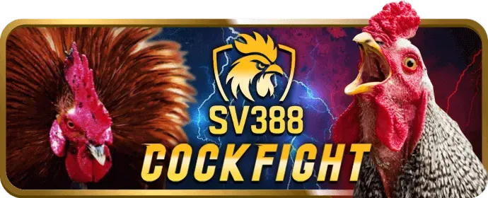 Gửi email hỗ trợ v8club khuyến mãi
